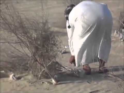 يتوق قلبي مقناص