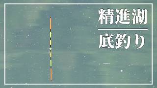 湖オカッパリを底釣り両ダンゴでへらぶな釣りしてみたら【山梨県 精進湖リベンジ】