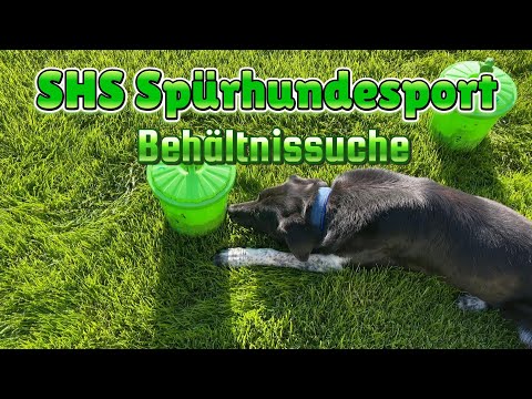 SHS Spürhundesport - Behältnissuche