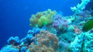 preview picture of video 'Willy's Yapak Diving Boracay Philippines p3'
