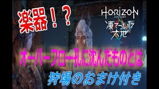 【Part8】オーバーフロー孔に落ちた楽器とは！PS4『Horizon Zero Dawn凍てついた大地』実況