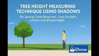 Tree Measurement: Shadow Technique