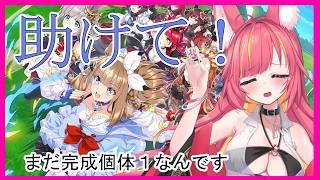 LOH育成配信【ウマ娘】#1336