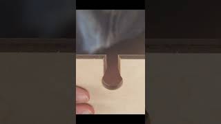 Sliding Dovetail Joint #shorts #satisfying