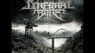 Cerebral Bore - Maniacal Miscreation (OFFICIAL w/ Lyrics)