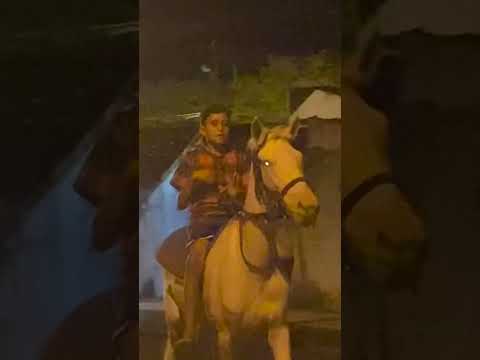 São Domingos Sergipe