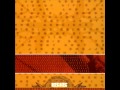 ISIS - Swarm Reigns