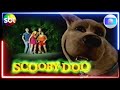 ATUALIZADO Chamadas Scooby Doo Live Action SBT Globo 2005 2025