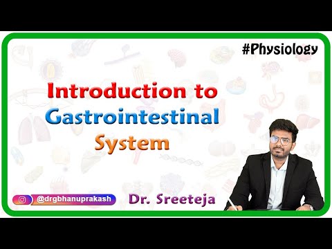 Introduction to Physiology of Gastrointestinal System : USMLE Step 1