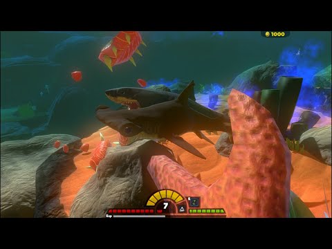 LIVE Feed and Grow: Fish