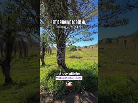SÍTIO PARA PECUÁRIA COM 9,09 ALQUEIRES 44 HECTARES EM GOIANIRA-GO #sitioavenda #agro