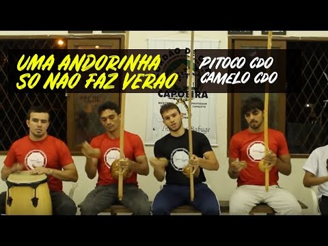 Uma Andorinha Só Não Faz Verão - Professor Pitoco