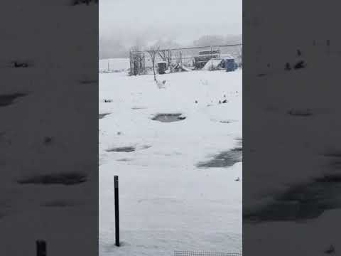 01/10/2021 Snow in Waco, Texas 002