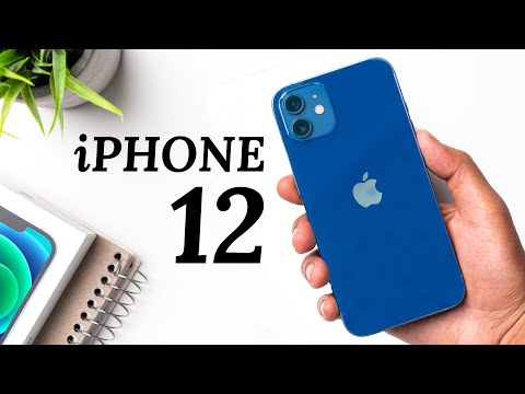 Should You Buy iPhone 12 in 2023? IOS 16.2