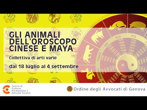 riproduce video in popup
