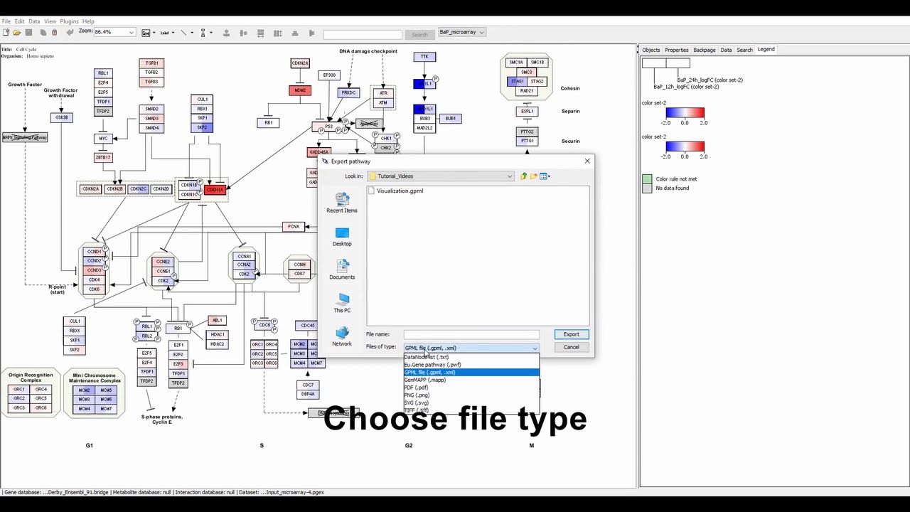 Export pathway visualization from PathVisio
