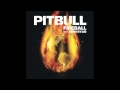 Pitbull ft. John Ryan- Fireball (With Lyrics) 