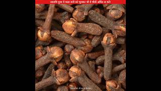 नवरात्रि पूजा में माता रानी को भूलकर भी ये चीजे अर्पित ना करें😡 #sanatanbharatdesh #shorts #navratri