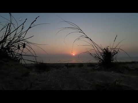 sunset vibes | madhavpur beach| most beautiful place |