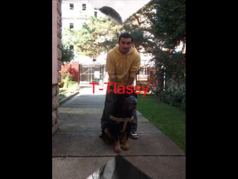 Fulzan G ft T Tlassy  Nuk Pot Shkoon