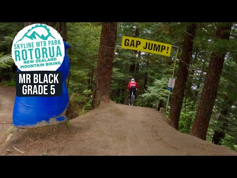 The FAMOUS Mr Black | Skyline, Rotorua