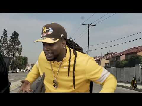 Scotti D - Moderation 