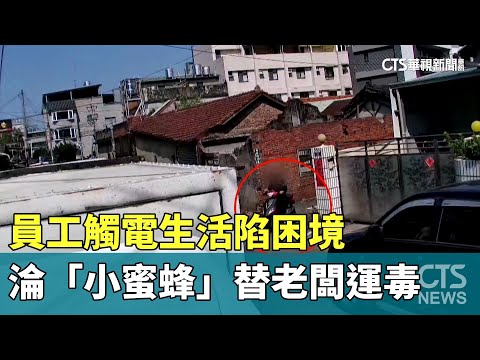 員工觸電生活陷困境　淪「小蜜蜂」替老闆運毒