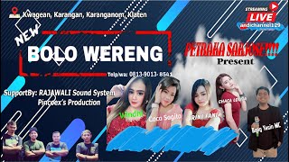 Download lagu Live Streaming NEW BOLO WERENG | RAJAWALI AUDIO System  #andichannel129  | Petraka Sakjoszeh mp3