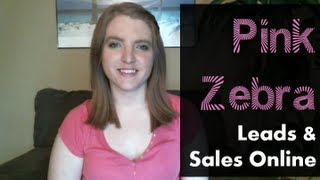 Pink Zebra | Effective Ways to Build Your Pink Zebra Business Online