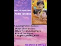 Phool Aur Angaar 1993 Full Album Songs Kumar Sanu Mithun Chakraborty Shantipriya Mohd Aziz