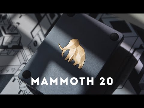 Mammoth 20 - Unboxing & Build
