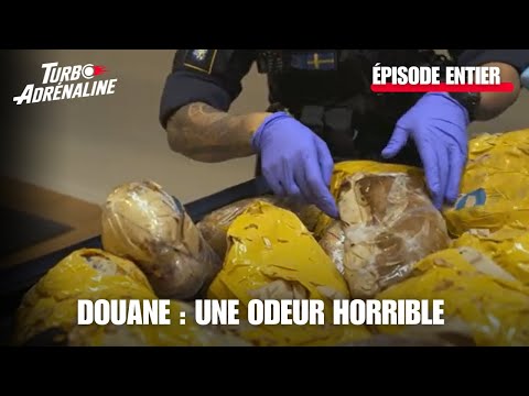 Au cœur des douanes : Suède