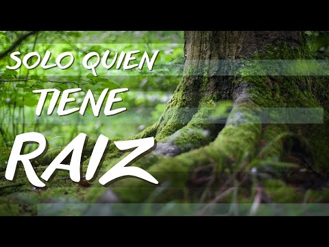 Solo quien tiene Raíz ( Piano ) - Jaime Ospino / Cover