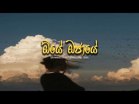 Oye Ojaye | ඕයේ-ඔජායේ (Slowed Reverb) - Arjun x Piyal #trending #music