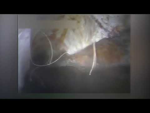 YouTube Video - Israel encuentra 5° túnel de Hizbala en su territorio