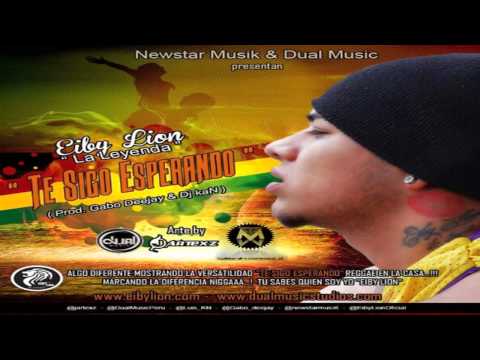 Te Sigo Esperando - Eiby Lion | Cover audio