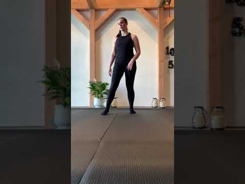 Video 5: Cardio Burst