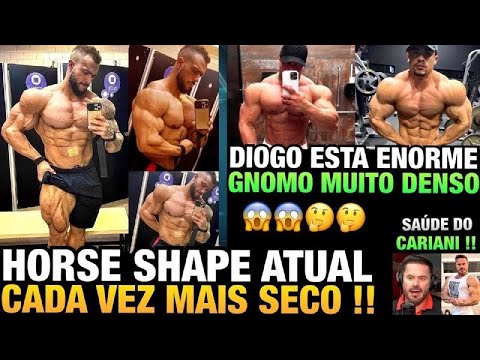 HORSE MOSTRA SHAPE ATUAL NA FIBRA - DIOGO APARECE ENORME NO OFF - GNOMO EVOLUINDO DEMAIS E MAIS