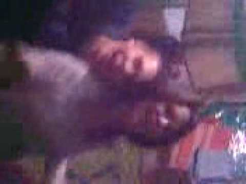 betivani din hauceni moldovita