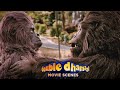 Arshad Warsi  'Ladies Gents Se Kya Farq Padtha Hai, Gorilla Toh Gorilla Hai' - Double Dhamaal Comedy