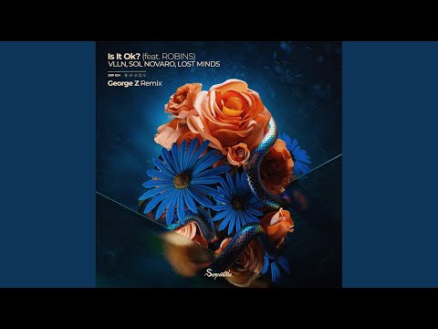 Is It Ok? (George Z Remix)