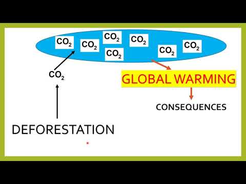 Environmental Pollution Part I