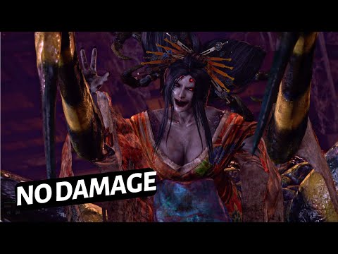 Nioh - Joro-Gumo No Damage Boss Fight #8