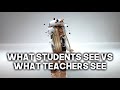 What Students See VS What Teachers See