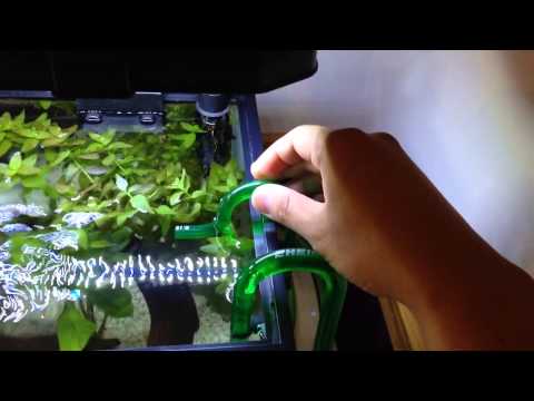 Watch Video on YouTube