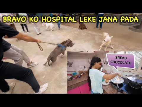 Bravo ko Hospital Leke Jana Pada and Guneet ki Bread Chocolate
