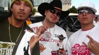 stay perkin - baby bash feat. chingo bling