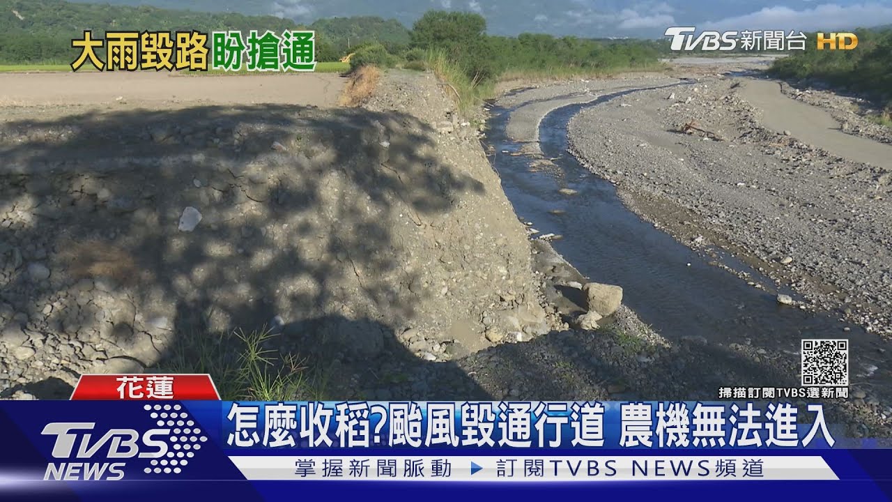 怎麼收稻?颱風毀通行道 農機無法進入