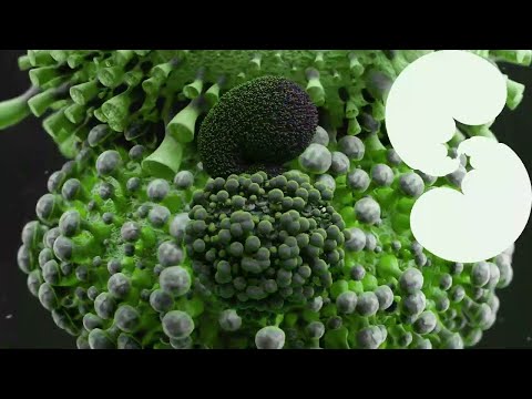 Video thumbnail for Atopos (sideproject Remix)