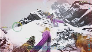 [Ark/official/pvp/ps5]  Grief 577 blue japs vs japs